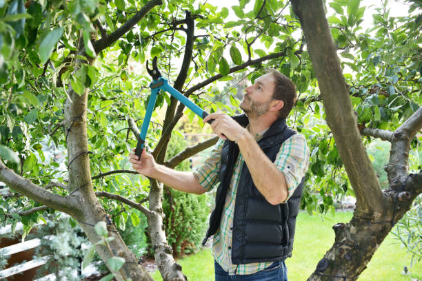Best Lawn Watering Services  in Oak Grove, TN